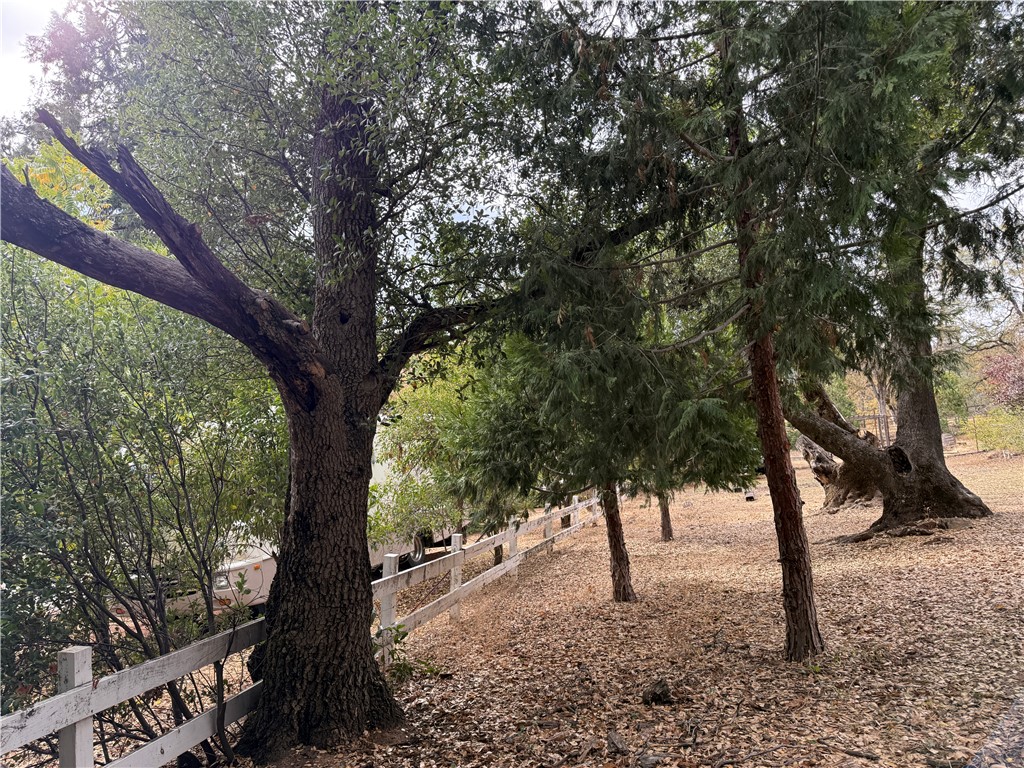 5264 Davis Road Midpines, CA 95345 - Photo 43 of 48 a view of tree