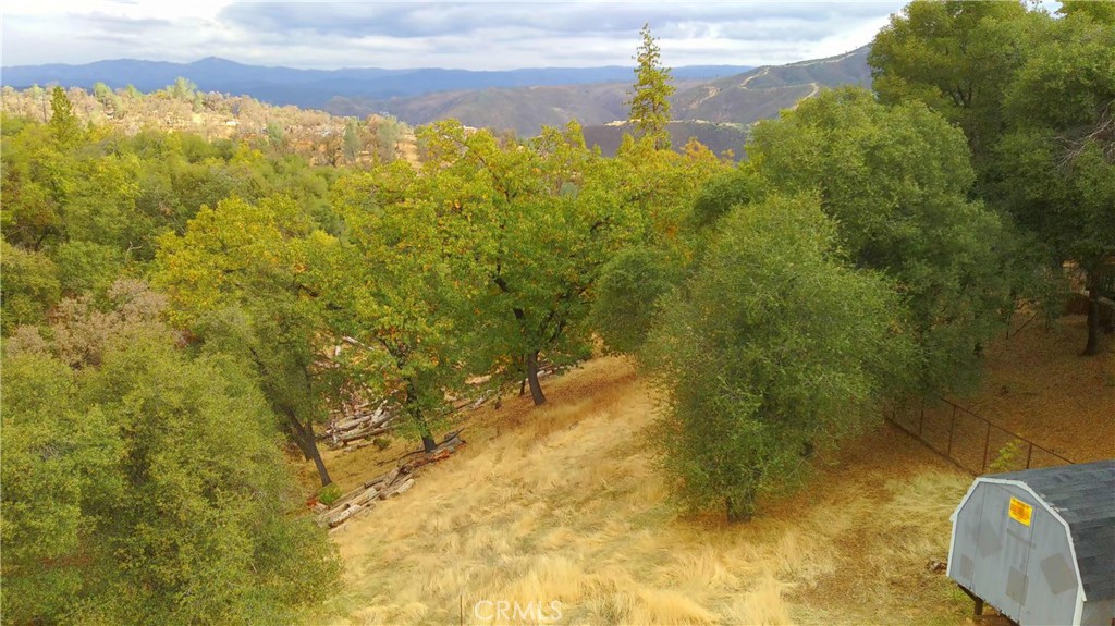 5264 Davis Road Midpines, CA 95345 - Photo 6 of 48 a view of a yard