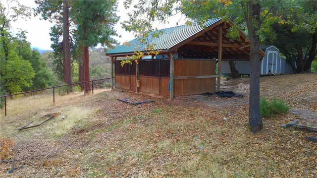 a view of a yard with a tree