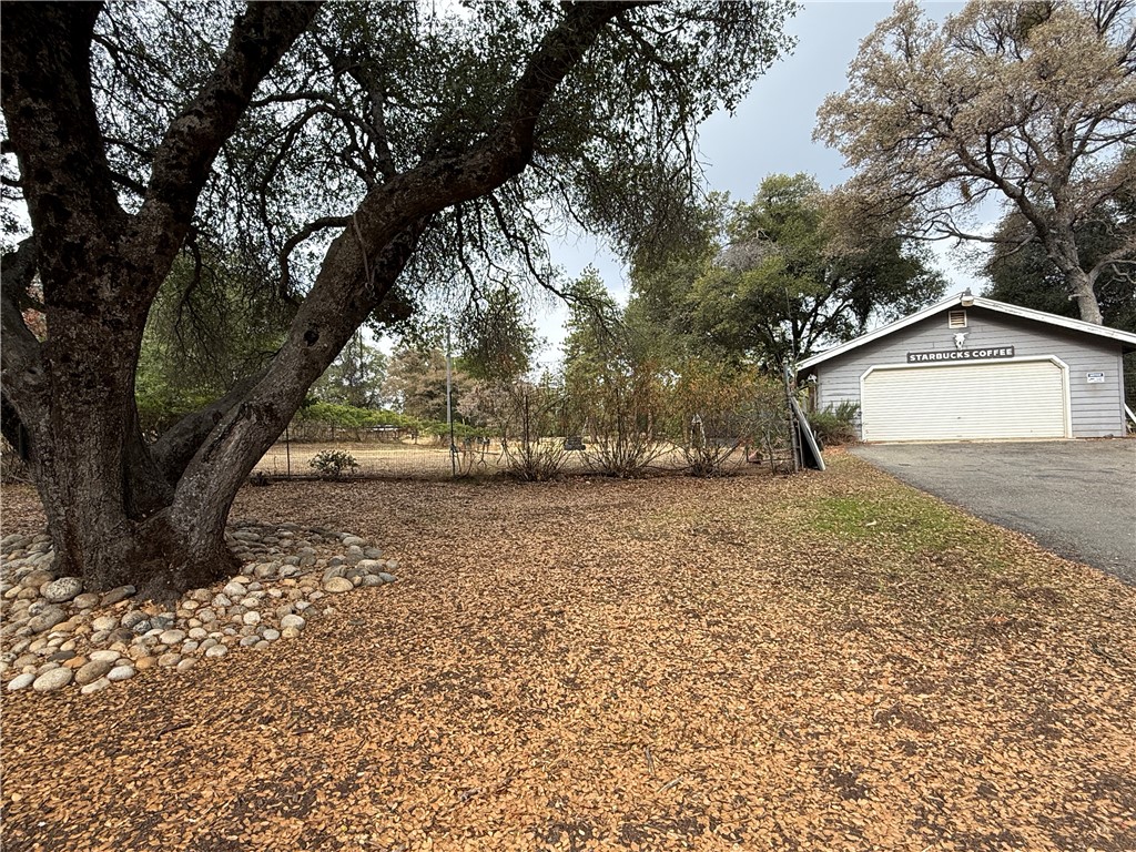 5264 Davis Road Midpines, CA 95345 - Photo 9 of 48 a view of a yard with large tree