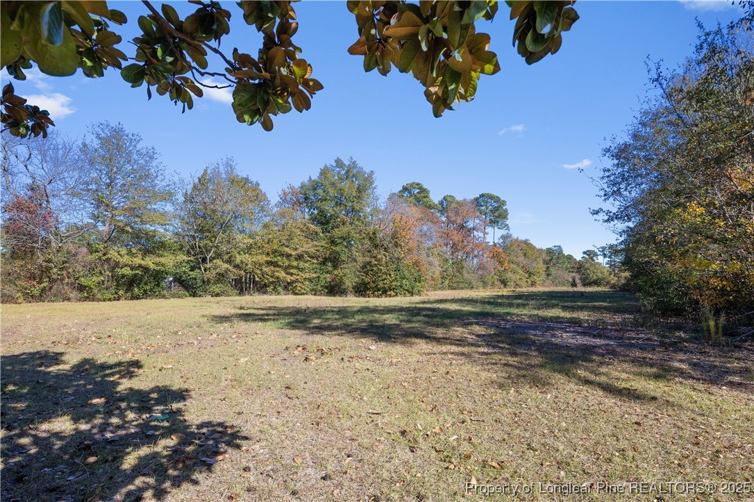 590 North Reilly Road Fayetteville, NC 28303 - Photo 9 of 10 a view of a yard with wooden fence