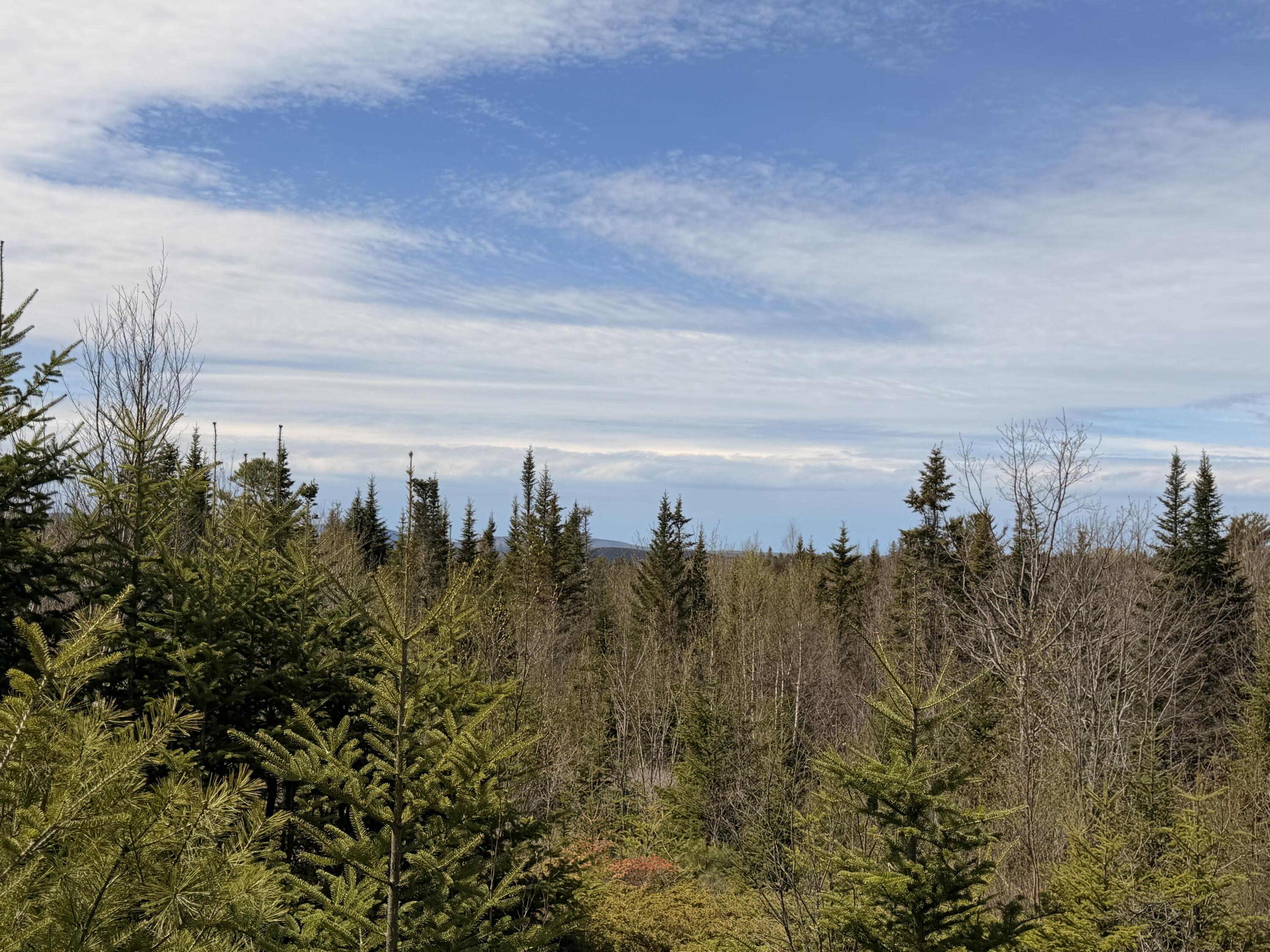 76 Morancy Road Sullivan, ME 04664 - Photo 5 of 8 IMG_1138