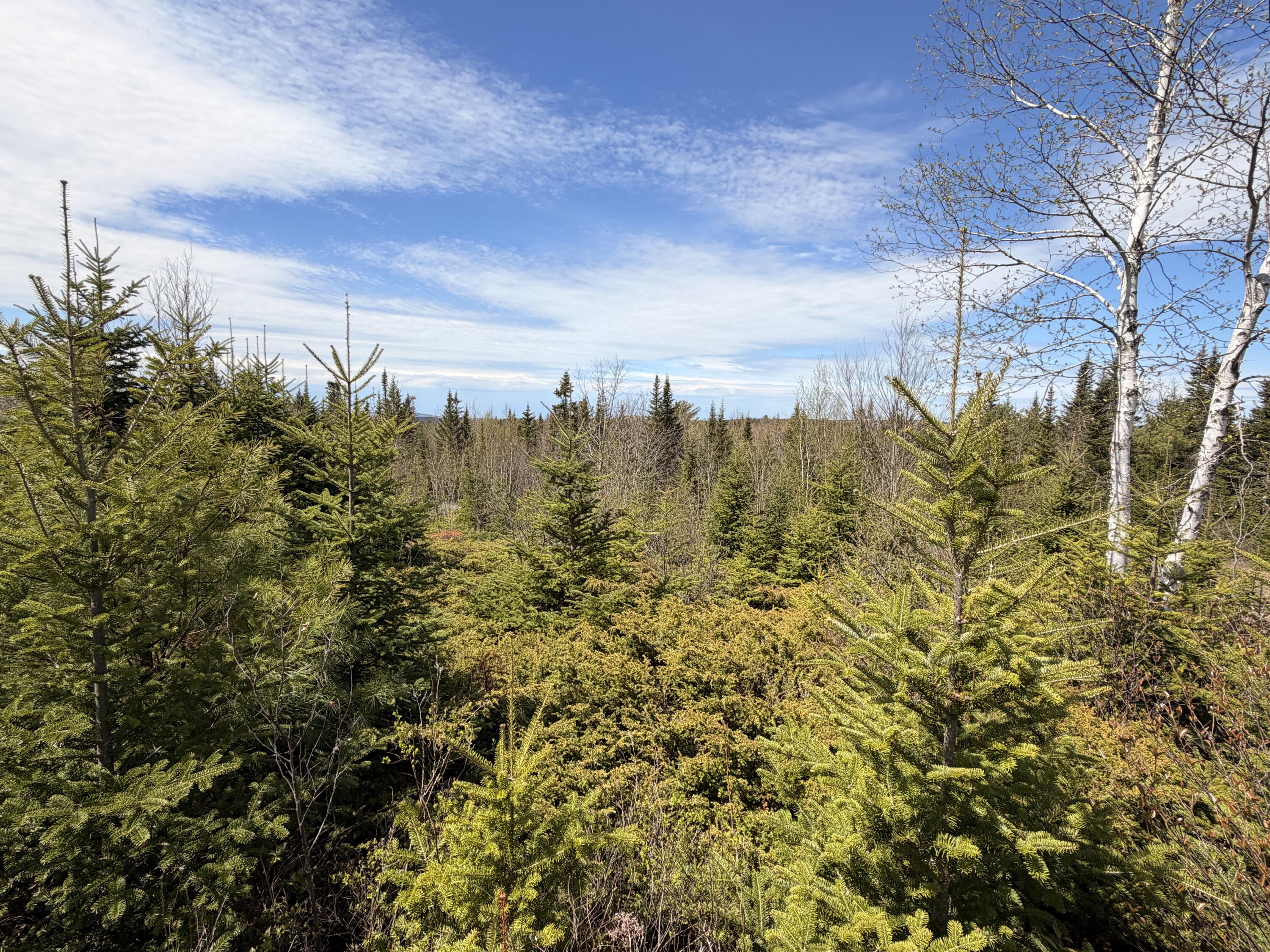 76 Morancy Road Sullivan, ME 04664 - Photo 6 of 8 IMG_1139