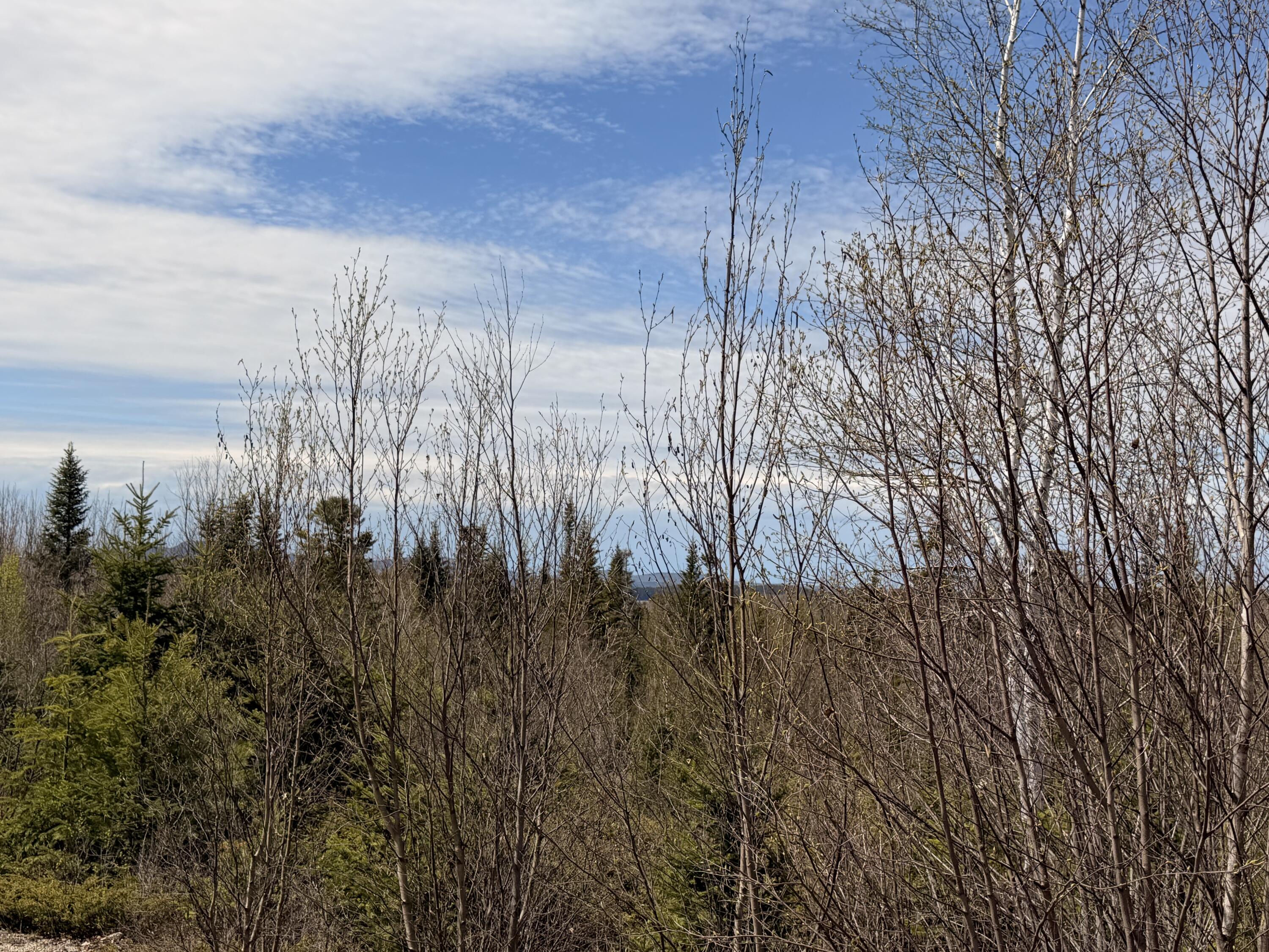 76 Morancy Road Sullivan, ME 04664 - Photo 8 of 8 IMG_1141