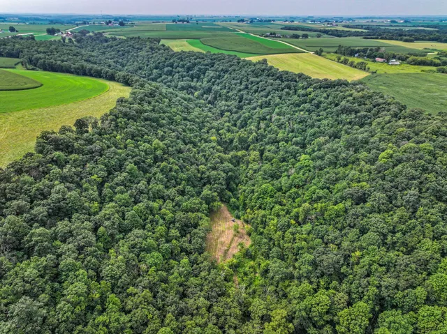 $1,475,000 | 26085 Frank Hill Road, Winona, MN 55987