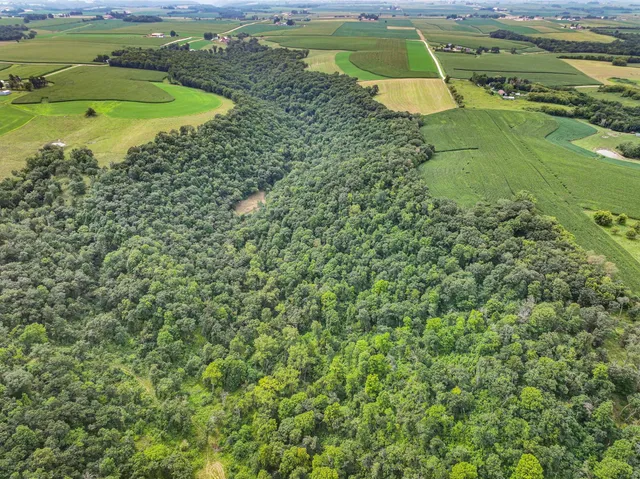 $1,475,000 | 26085 Frank Hill Road, Winona, MN 55987