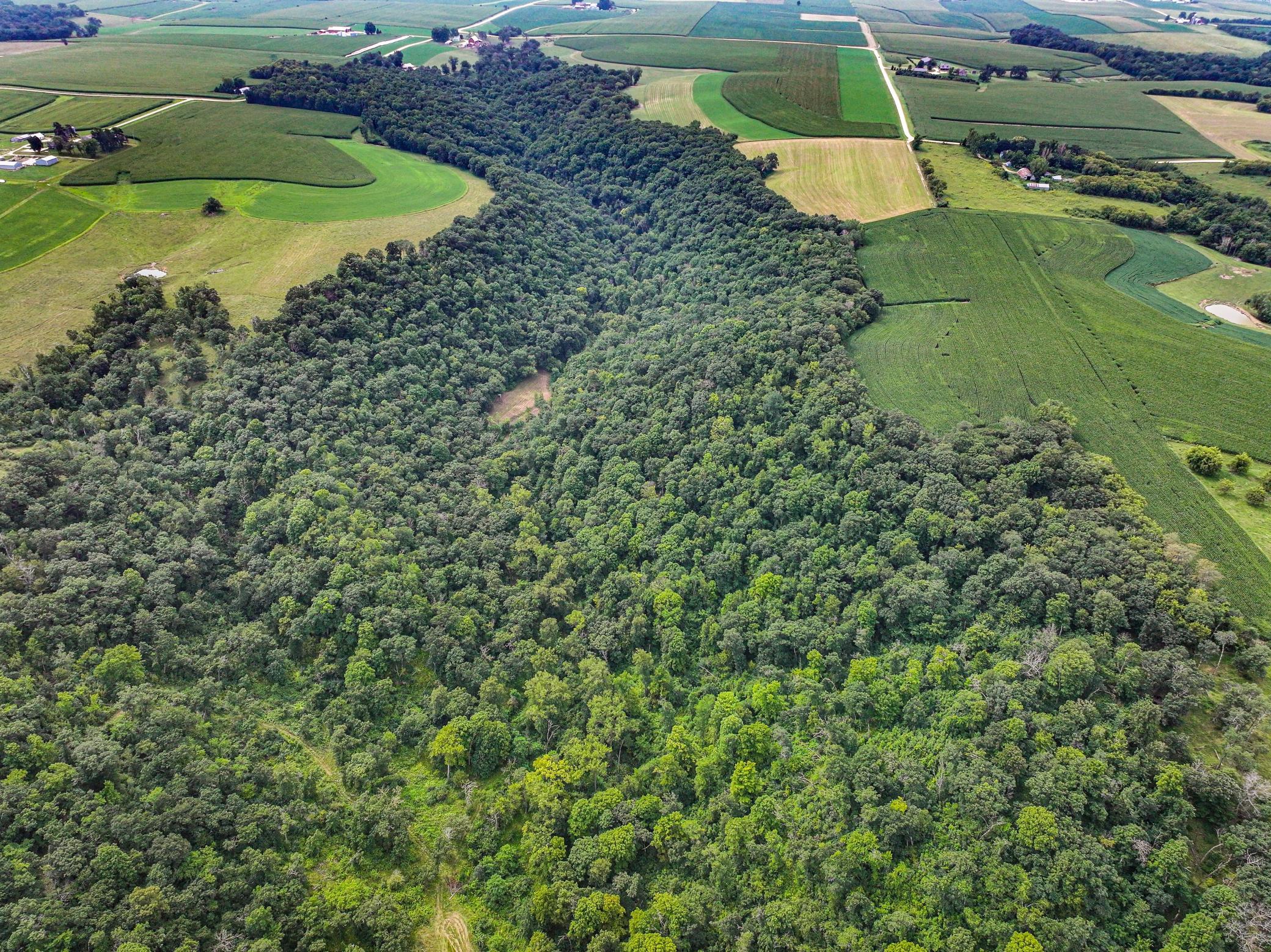 26085 Frank Hill Road Winona, MN 55987 - Photo 55 of 86