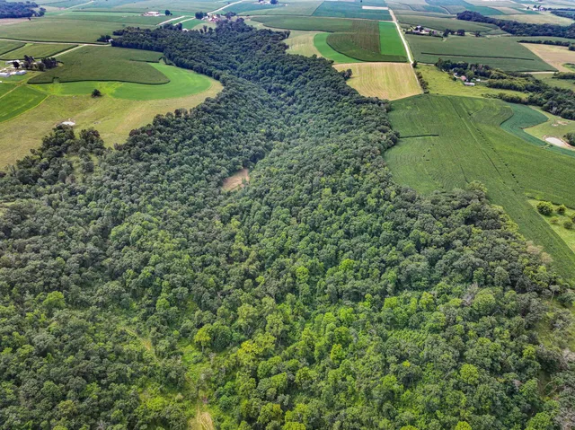 $1,475,000 | 26085 Frank Hill Road, Winona, MN 55987