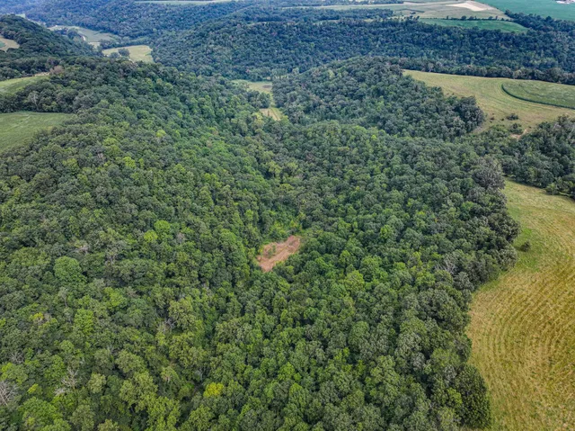 $1,475,000 | 26085 Frank Hill Road, Winona, MN 55987