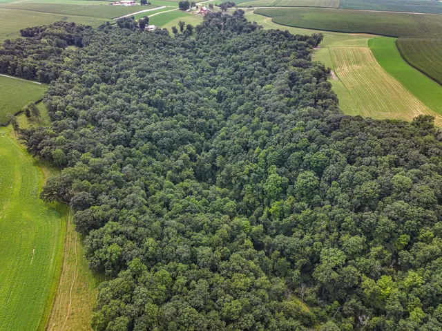 $1,475,000 | 26085 Frank Hill Road, Winona, MN 55987