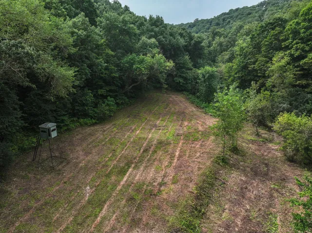 $1,475,000 | 26085 Frank Hill Road, Winona, MN 55987