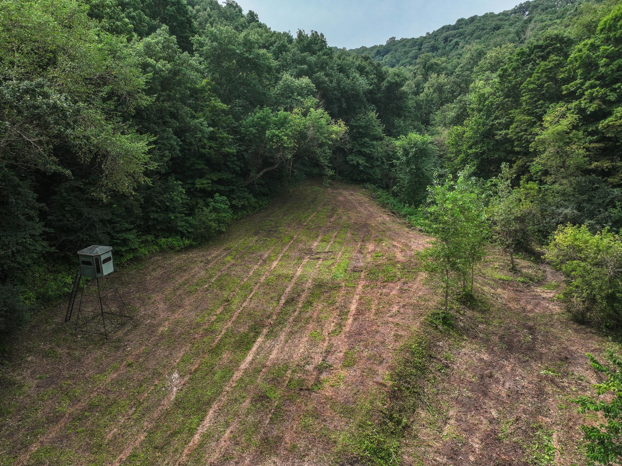 26085 Frank Hill Road Winona, MN 55987 - Photo 59 of 86