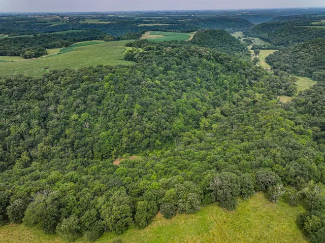 $1,475,000 | 26085 Frank Hill Road, Winona, MN 55987