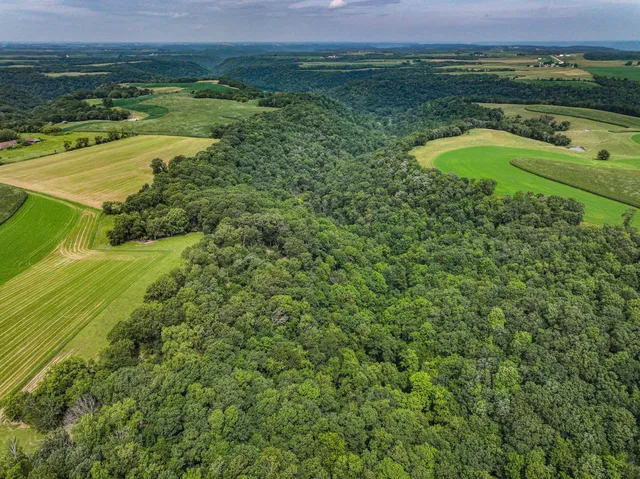 $1,475,000 | 26085 Frank Hill Road, Winona, MN 55987