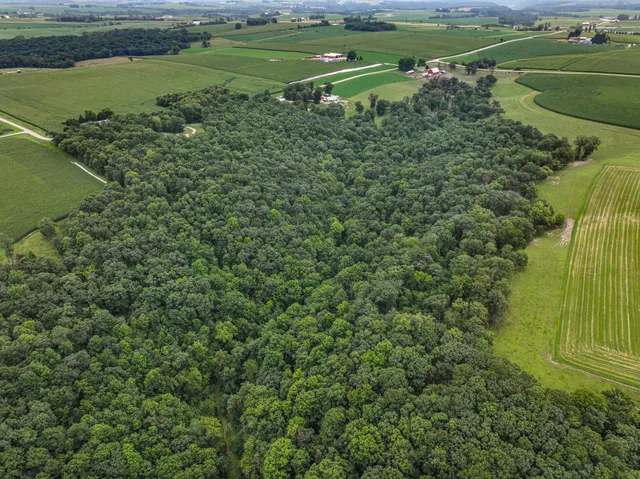 $1,475,000 | 26085 Frank Hill Road, Winona, MN 55987