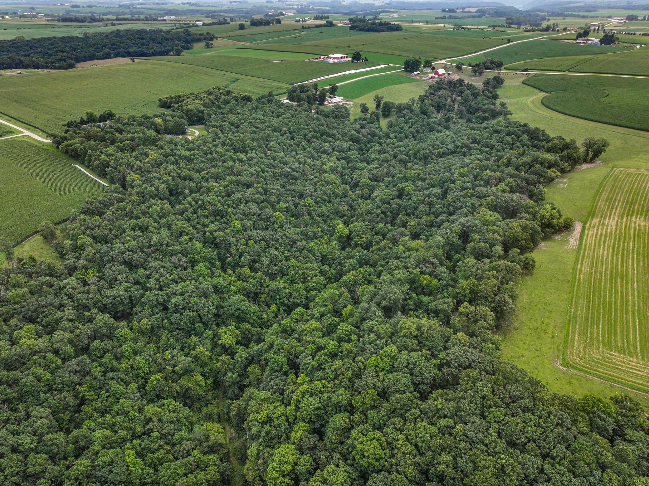 26085 Frank Hill Road Winona, MN 55987 - Photo 65 of 86