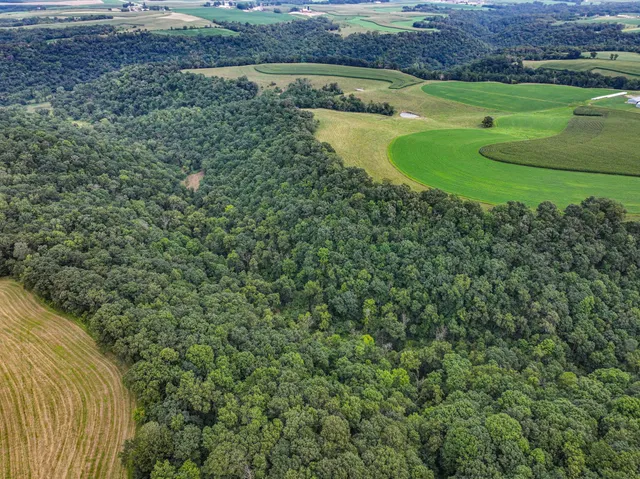 $1,425,000 | 26085 Frank Hill Road, Winona, MN 55987