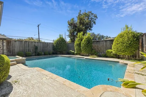 a view of backyard with plants