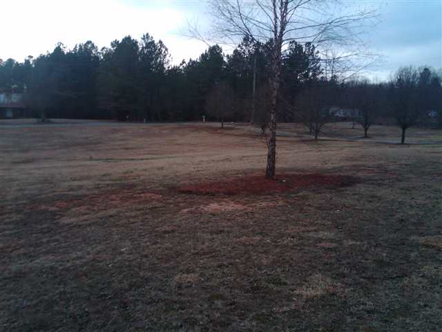 625 Henderson Church Road Gray Court, SC 29645 - Photo 14 of 14