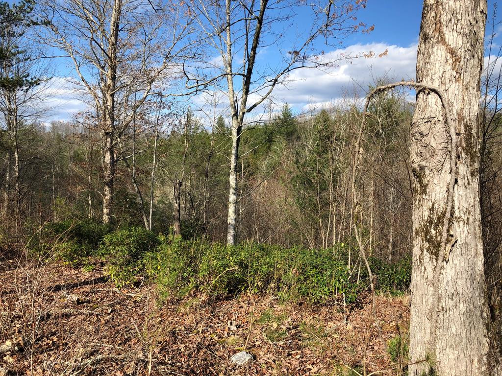 Lot #94 River Mountain Road Murphy, NC 28906 - Photo 10 of 12