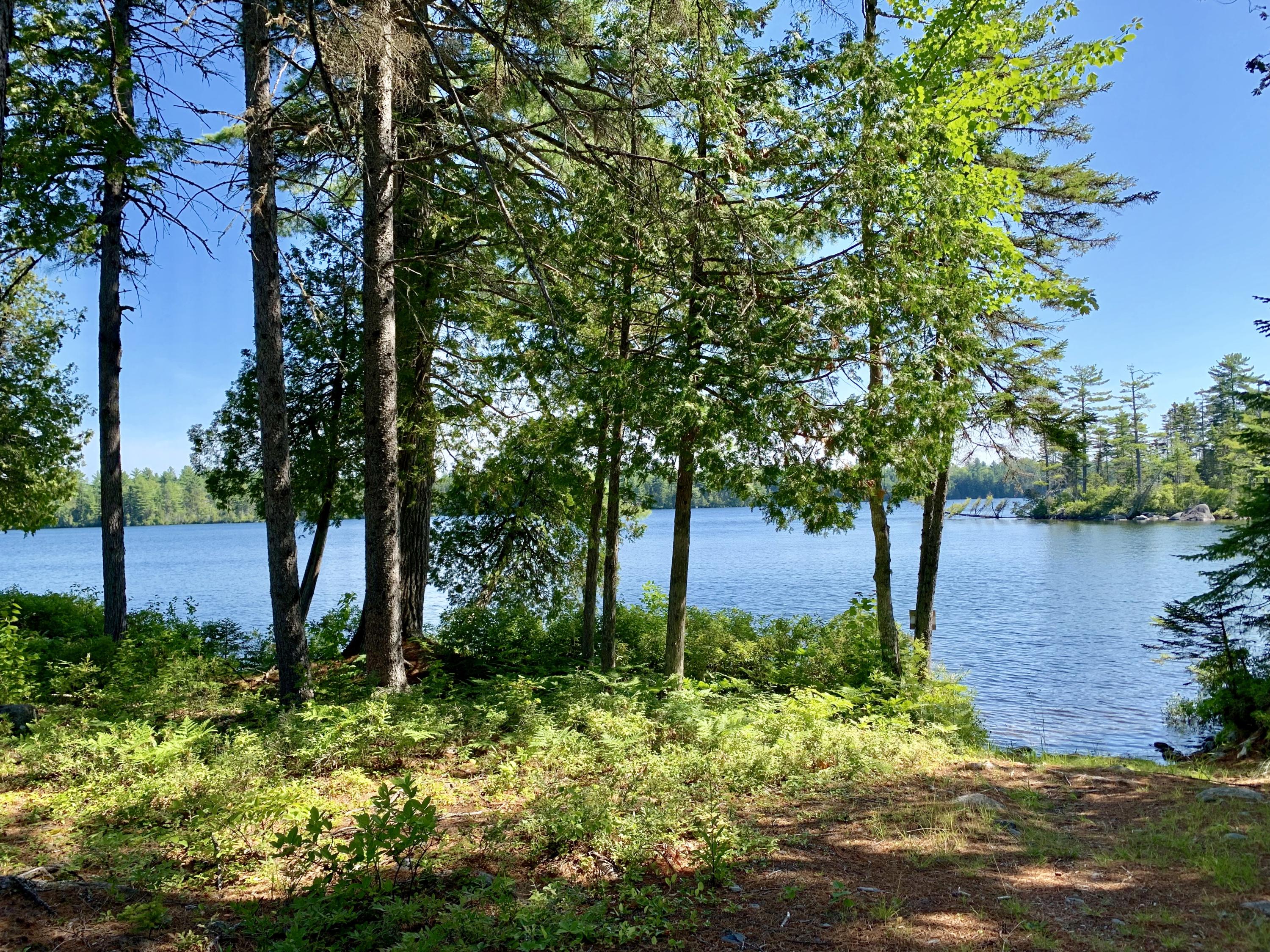 277 Shore Rd Lake View North Milo, ME 04463 - Photo 6 of 59 Beautiful Lake Frontage