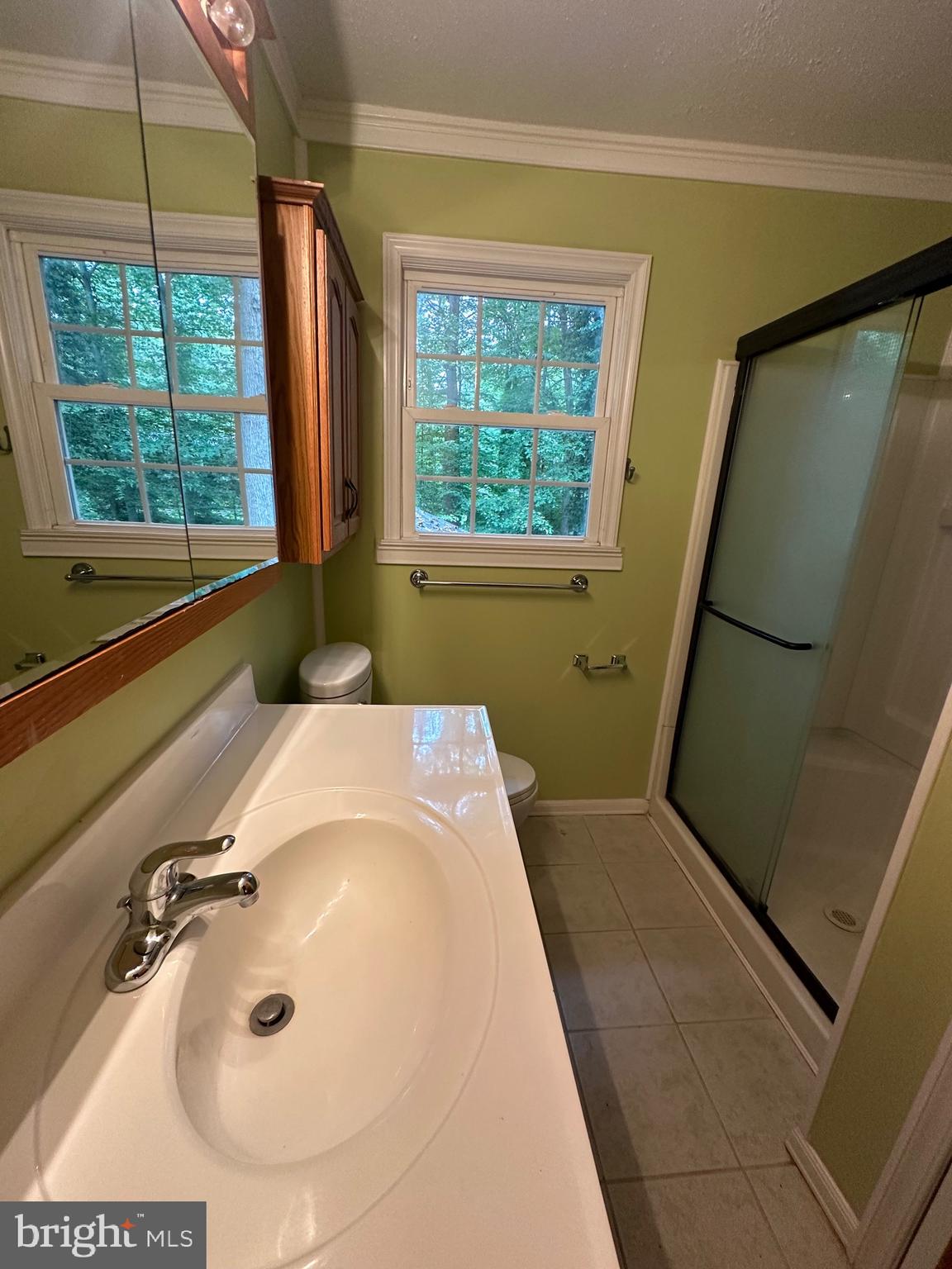 113 Rhett Court Elkton, MD 21921 - Photo 37 of 51 Primary Bathroom