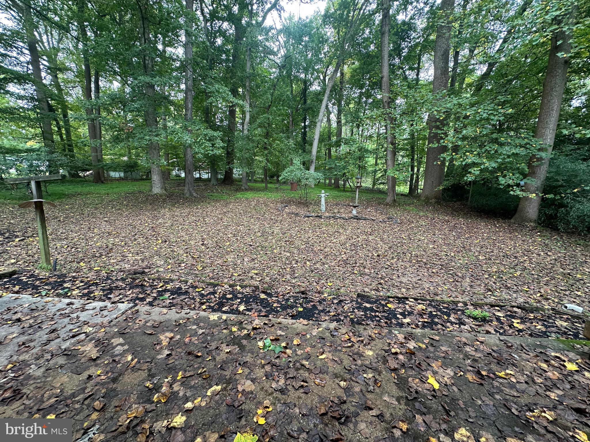 113 Rhett Court Elkton, MD 21921 - Photo 46 of 51 Backyard