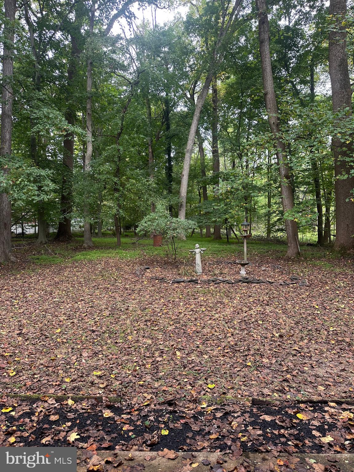 113 Rhett Court Elkton, MD 21921 - Photo 47 of 51 Backyard