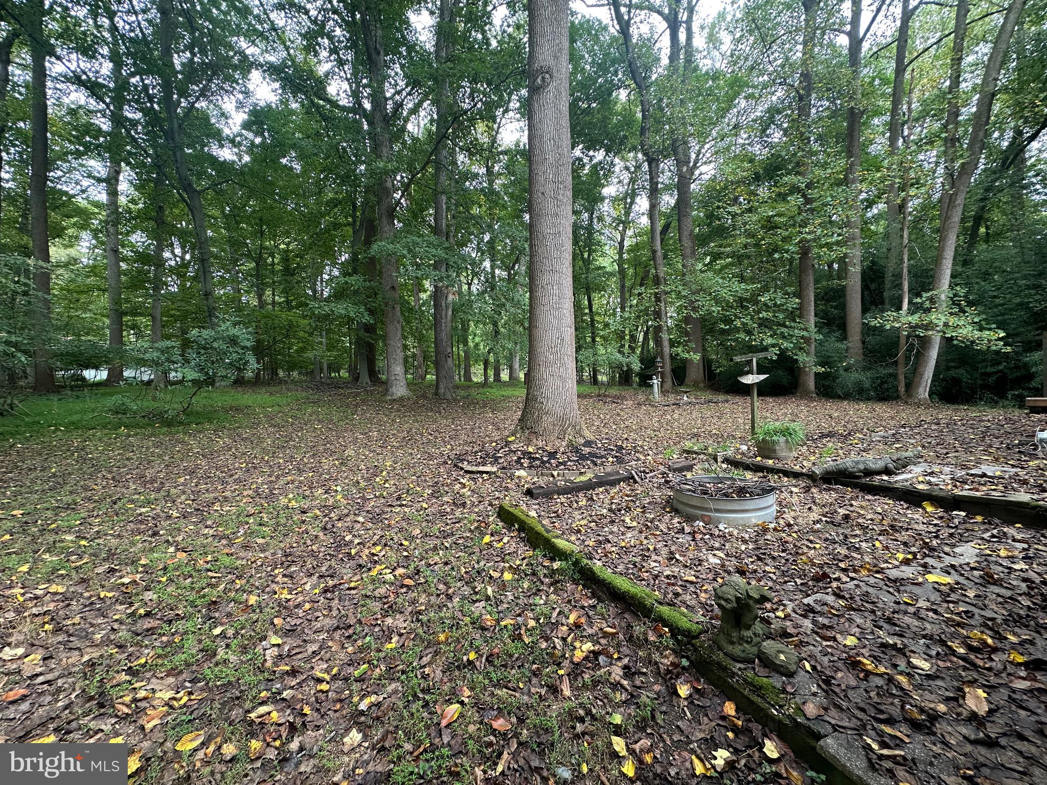 113 Rhett Court Elkton, MD 21921 - Photo 48 of 51 Backyard wooded lot