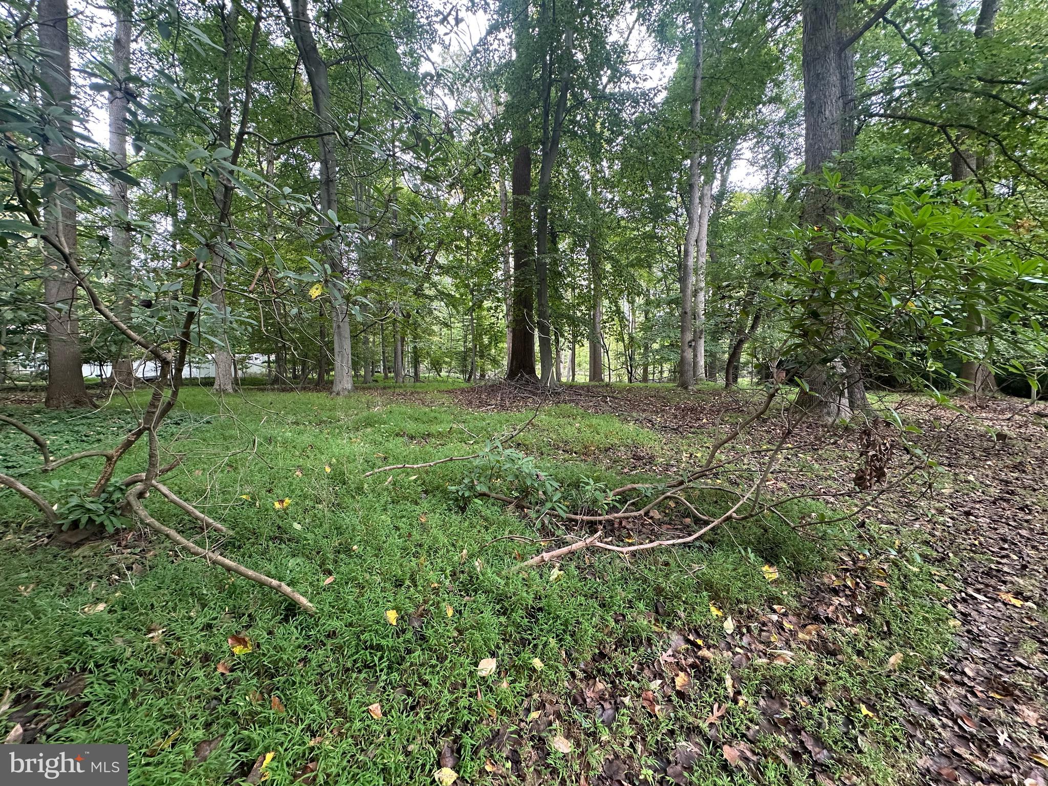113 Rhett Court Elkton, MD 21921 - Photo 49 of 51 Backyard