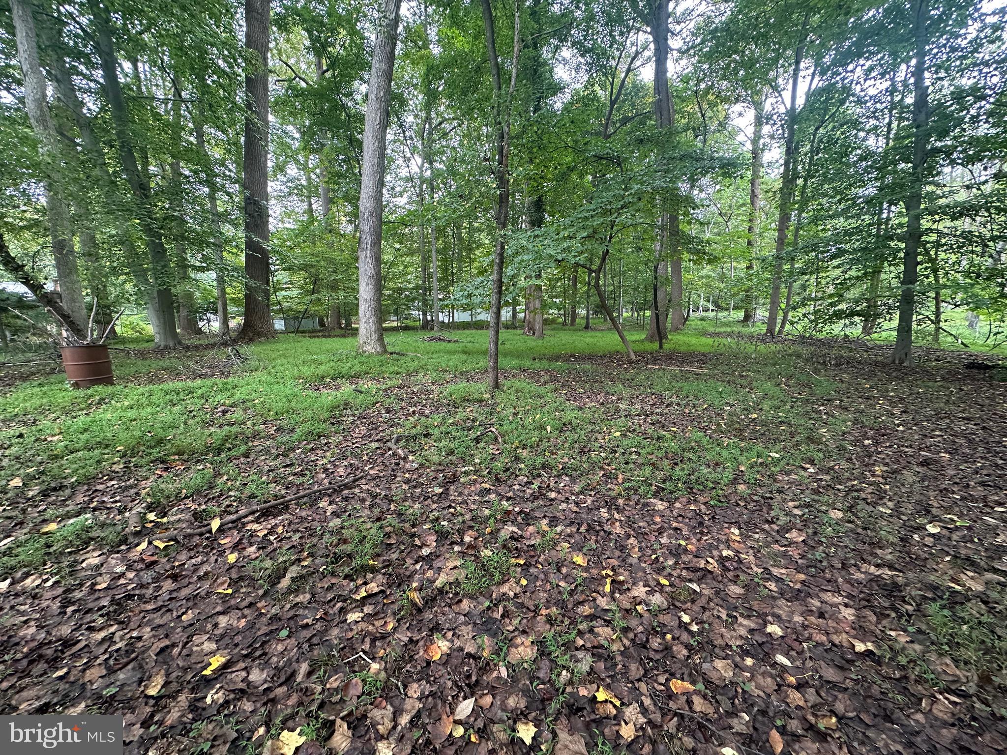 113 Rhett Court Elkton, MD 21921 - Photo 51 of 51 wooded lot