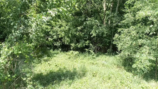 $39,900 | 982 Stanton Road, Sherwood, MI 49089