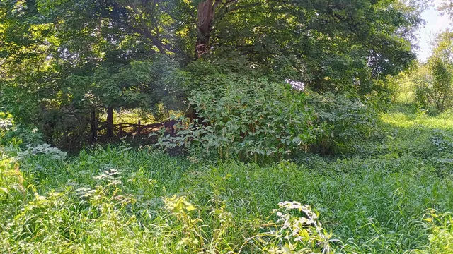 $39,900 | 982 Stanton Road, Sherwood, MI 49089