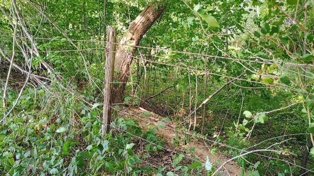 $39,900 | 982 Stanton Road, Sherwood, MI 49089