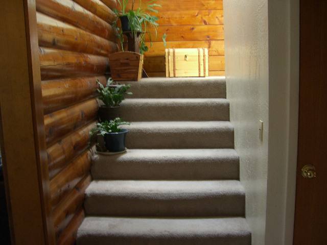 201 County Road Calpine, CA 96124 - Photo 3 of 9