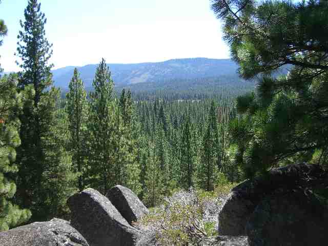 201 County Road Calpine, CA 96124 - Photo 9 of 9