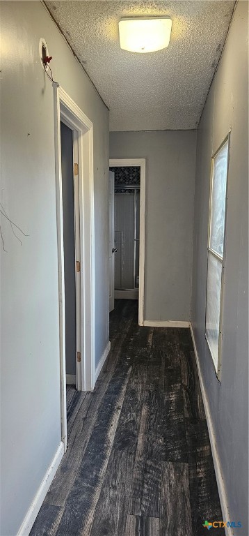 4803 Jubilee Springs Road Temple, TX 76502 - Photo 4 of 19