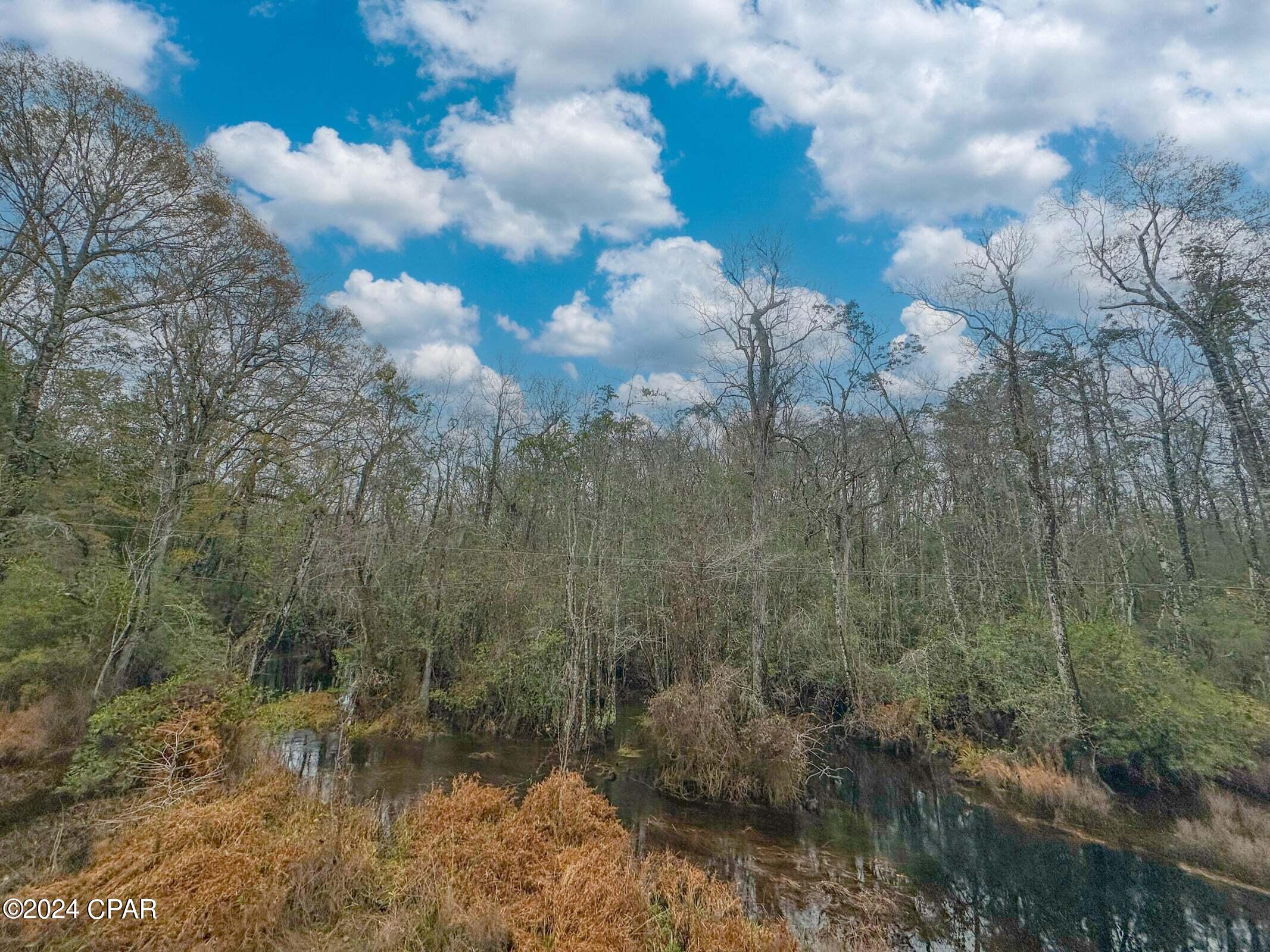 6409 River Road Caryville, FL 32427 - Photo 2 of 4