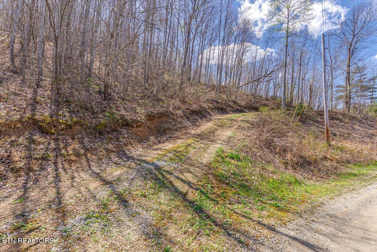 422 Crooked Branch Road Huntsville, TN 37756 - Photo 16 of 35 26-Entrance A1