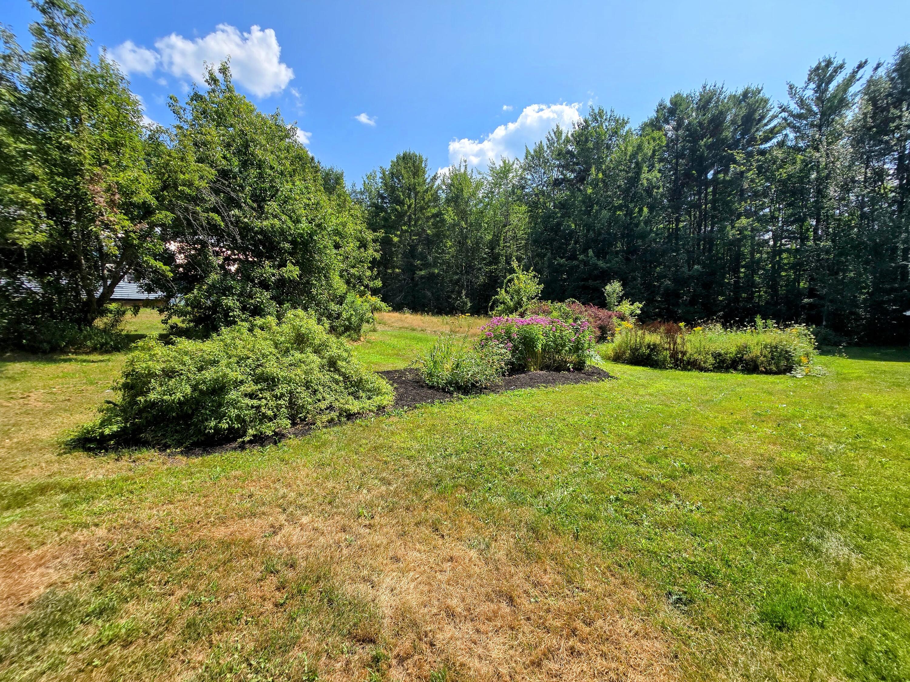 39 Woodman Hill Road Jay, ME 04239 - Photo 10 of 99 20250811_135951-EDIT