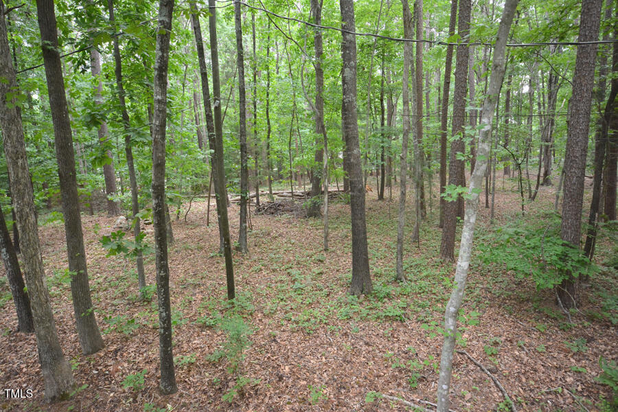 5825 Scalybark Road Durham, NC 27712 - Photo 28 of 44 DSC_9084