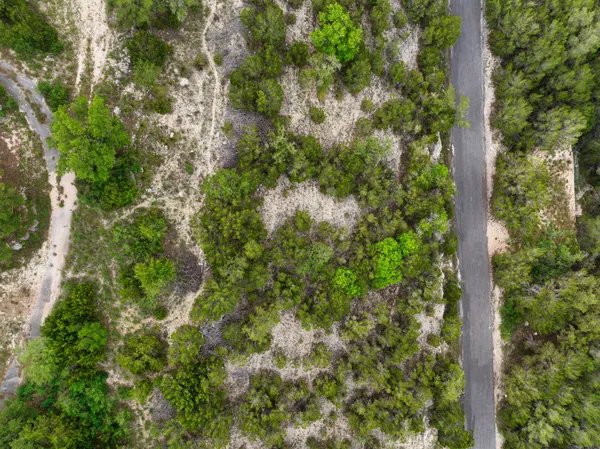 a view of a forest