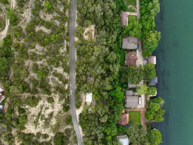 a close up of a plant in a garden