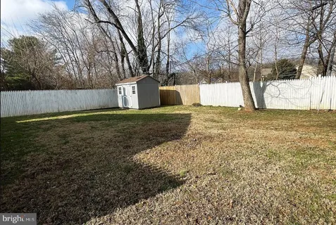 a view of a yard with a large tree