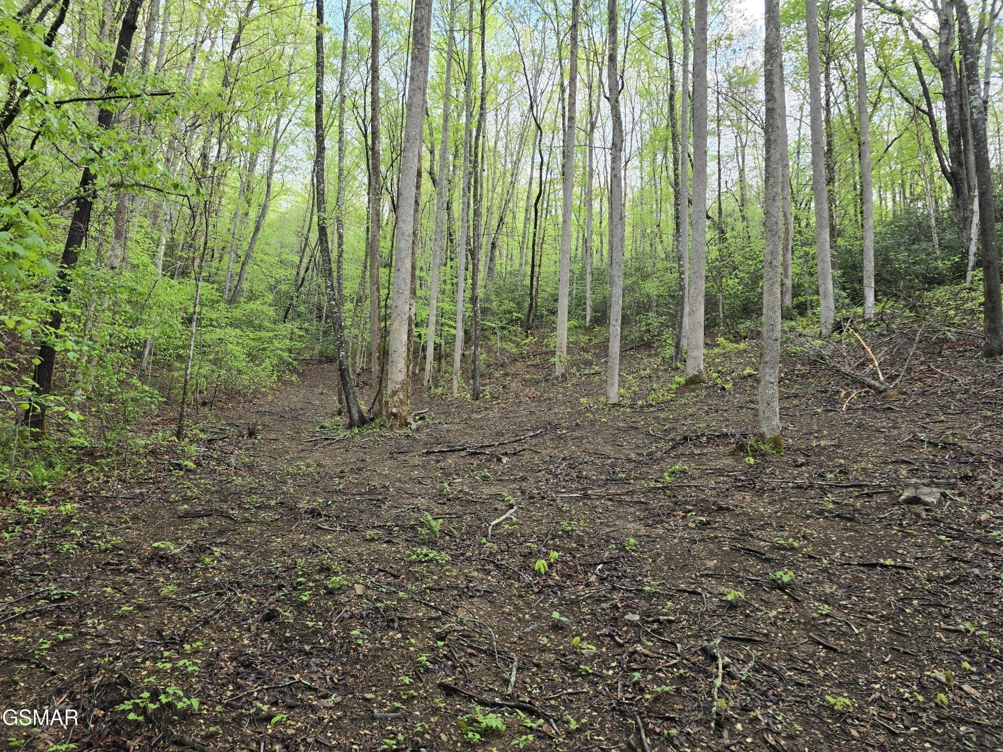 0 Cara Way Cosby, TN 37722 - Photo 10 of 13 Gallery Image 10