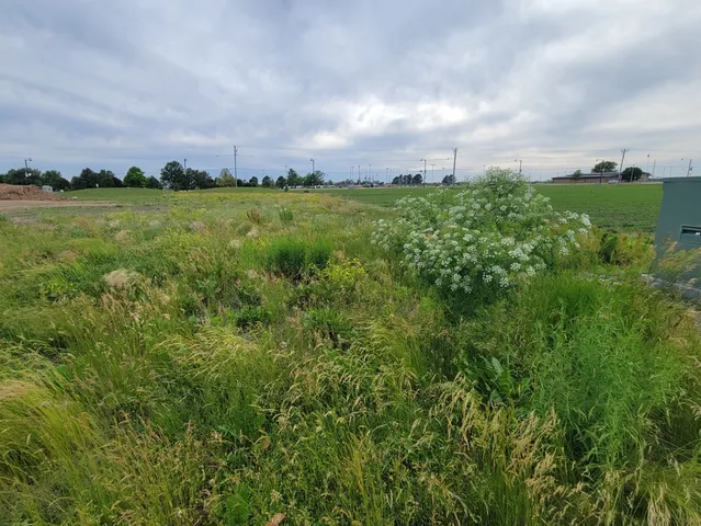a view of a big green field with a building in the background