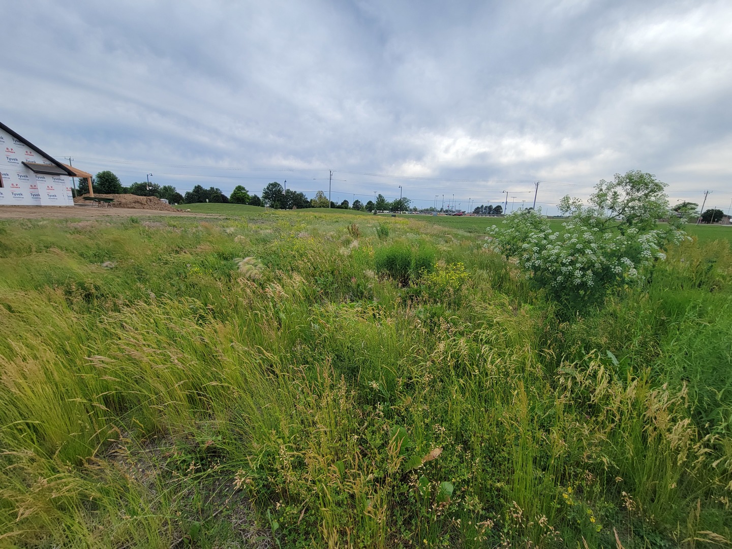 16 Pointe Boulevard Peru, IL 61354 - Photo 2 of 5 a view of a city