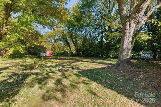 a view of a tree with a yard