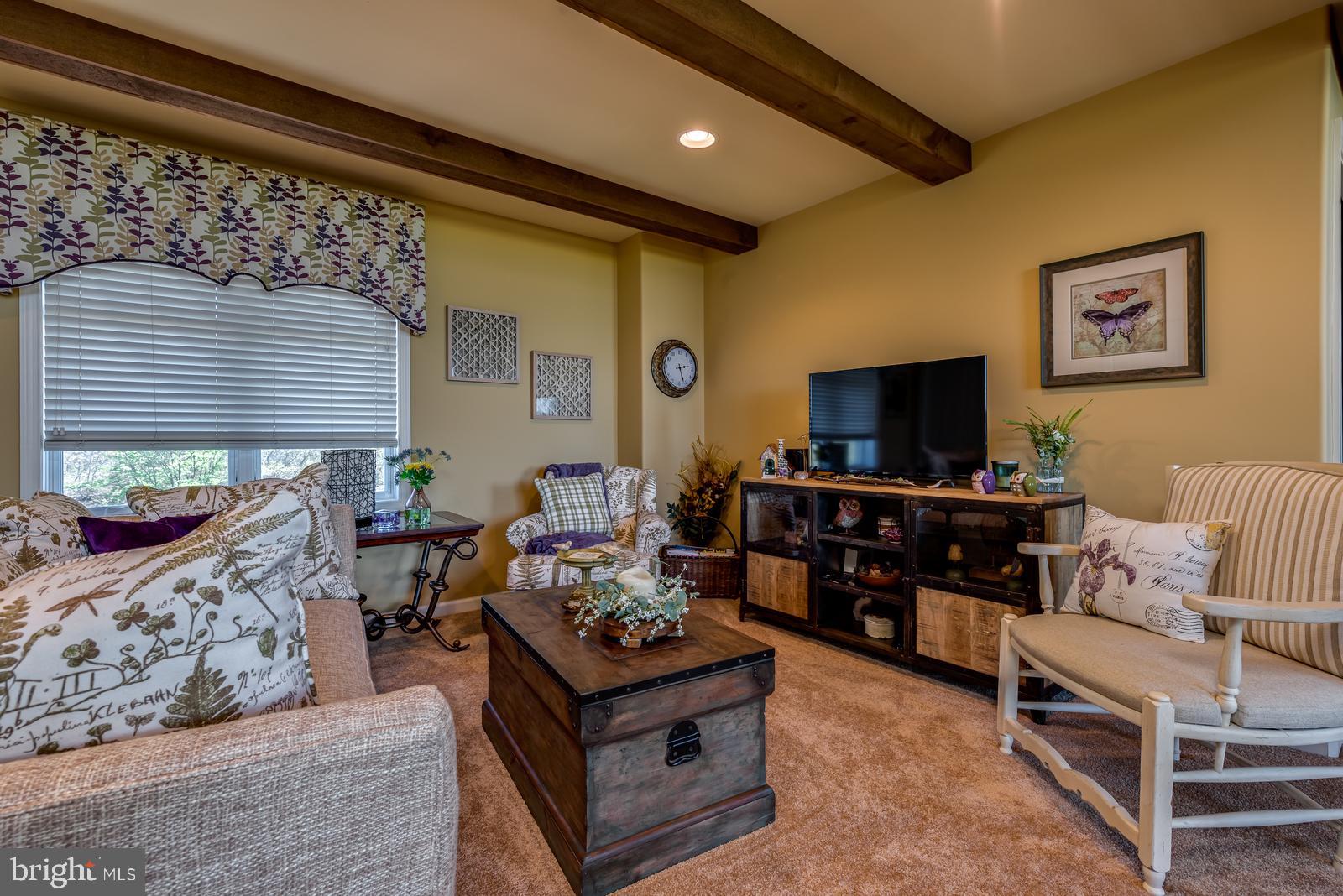 968 Scots Pne Lane Hazleton, PA 18202 - Photo 52 of 95 a living room with furniture and a flat screen tv