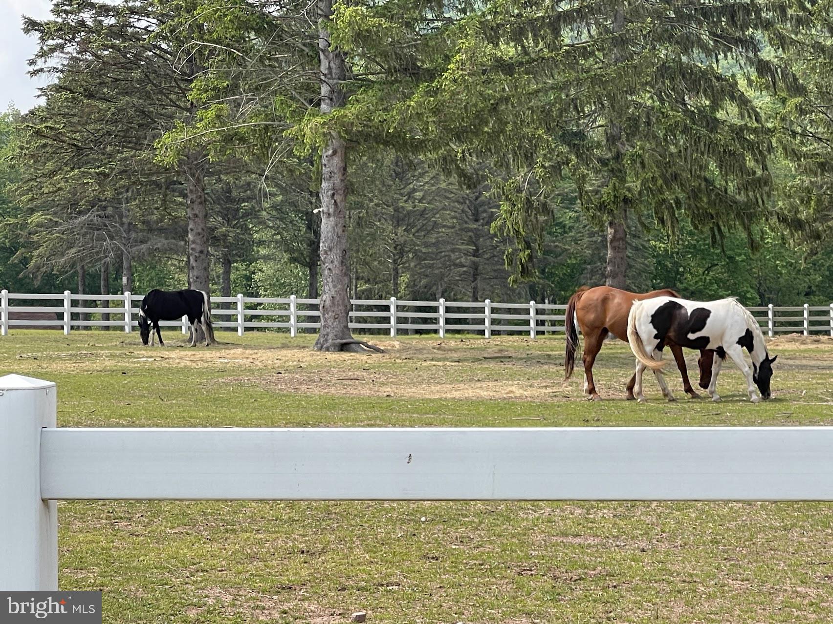 968 Scots Pne Lane Hazleton, PA 18202 - Photo 91 of 95